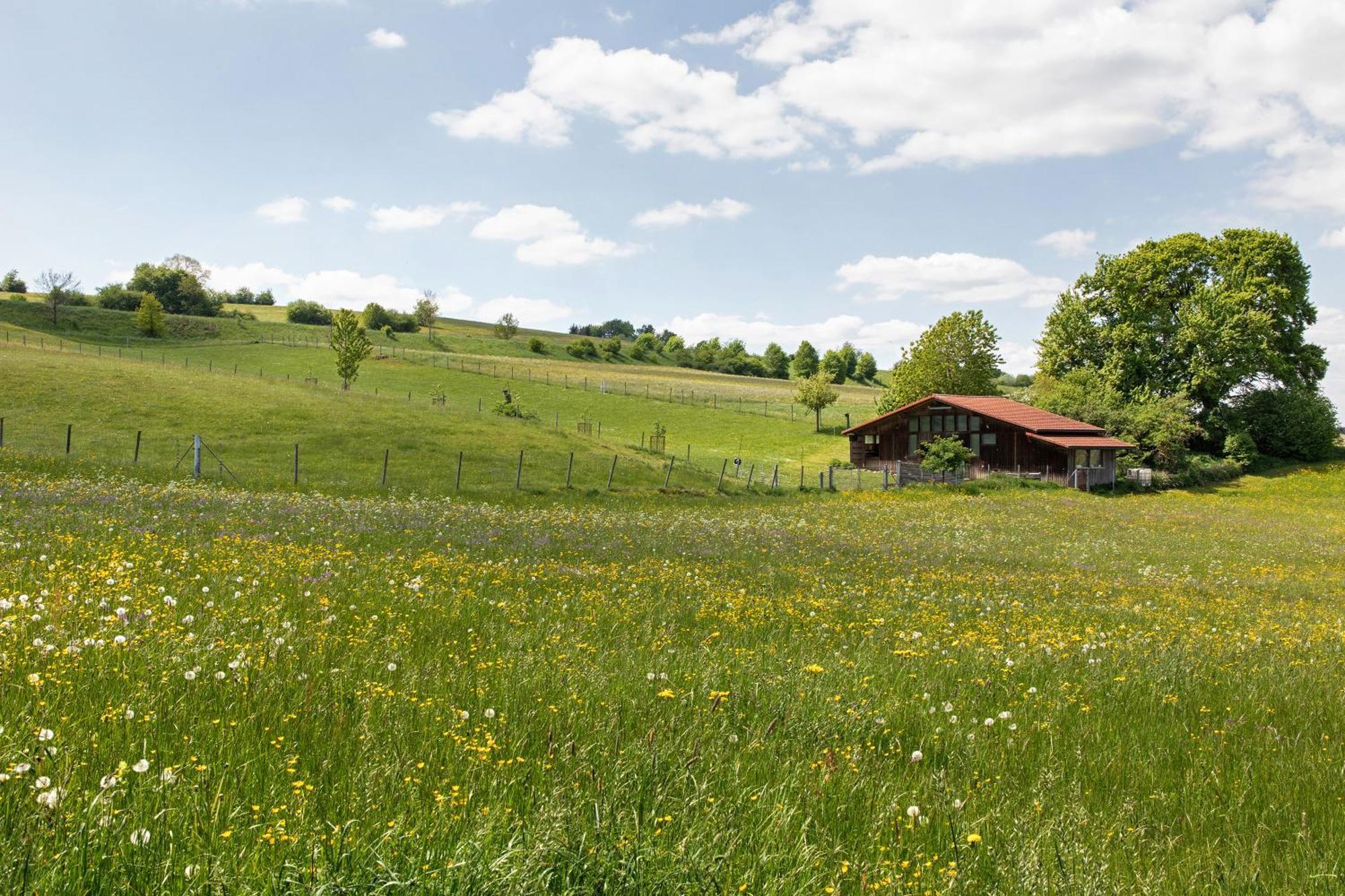 Ferienwohnung Emilia, 36Qm Münsingen Eksteriør billede